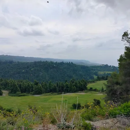 Dionysus View *