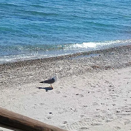 Dionysus View Appartamento *