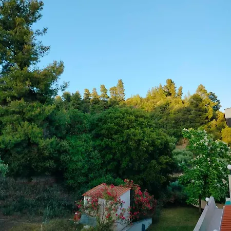 Dionysus View