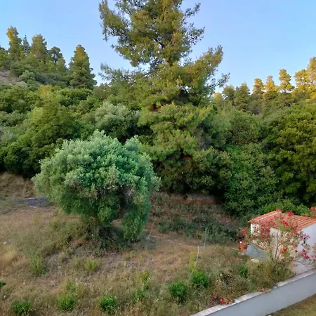 Apartment Dionysus View