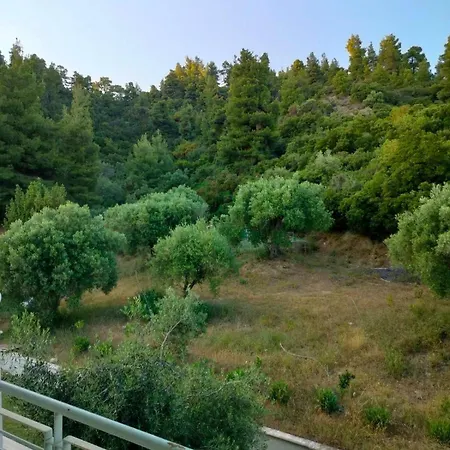 Dionysus View *