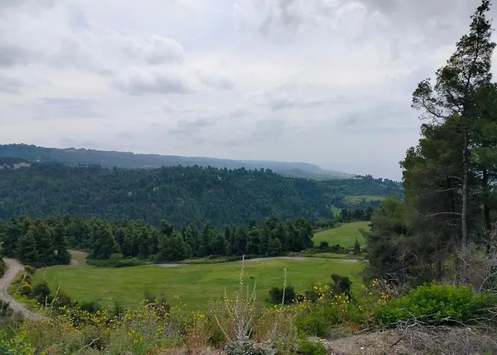 Dionysus View *