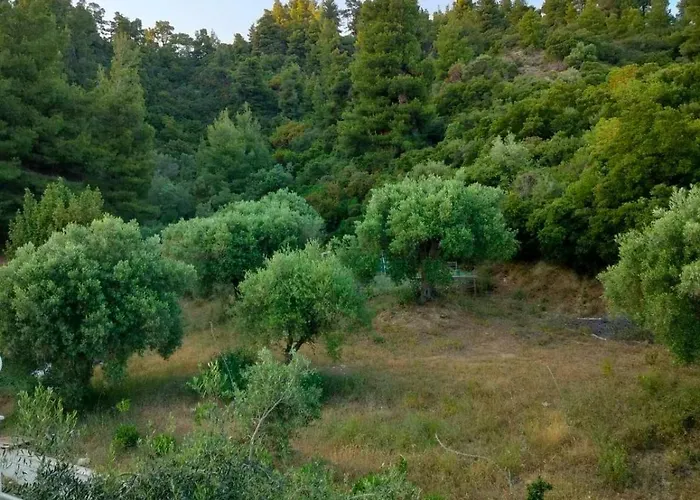 Dionysus View *