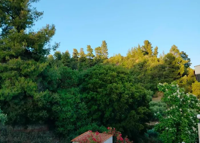 Dionysus View