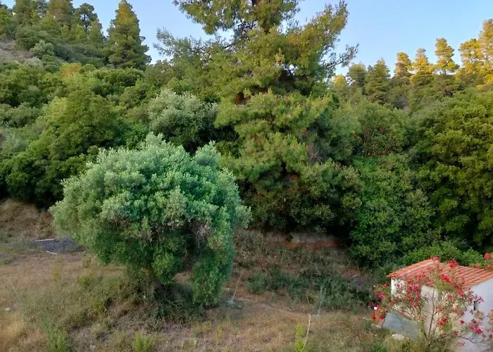 Appartement Dionysus View